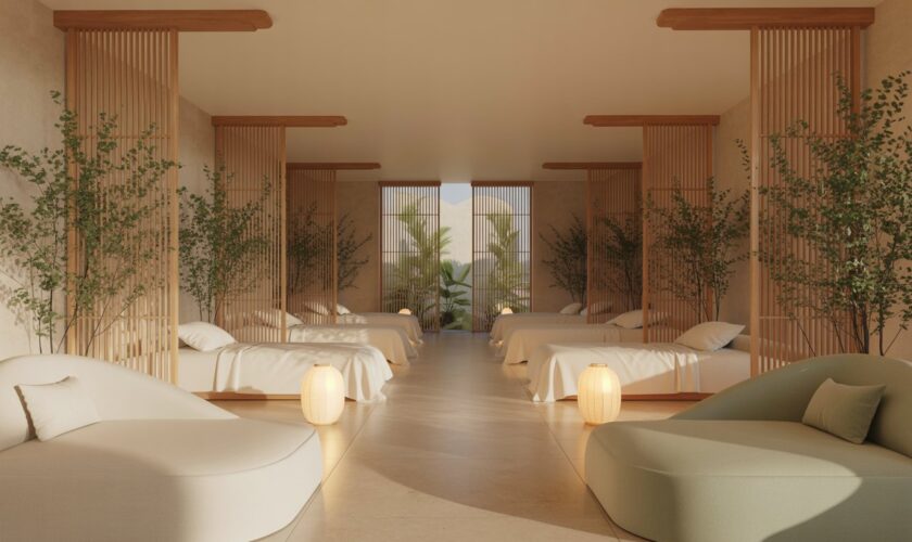 beauty lounge of a sort nyt